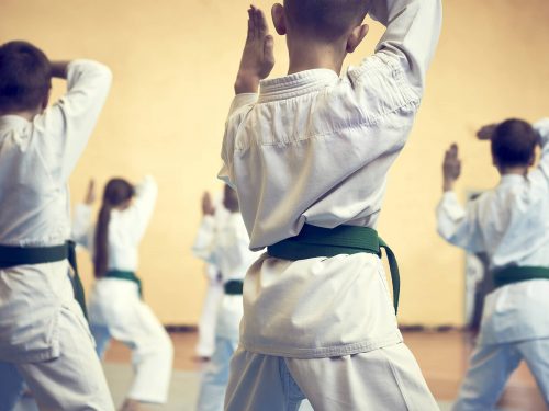 Children participating in a karate class